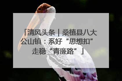 清风头条｜桑植县八大公山镇：系好“思想扣” 走稳“青廉路”