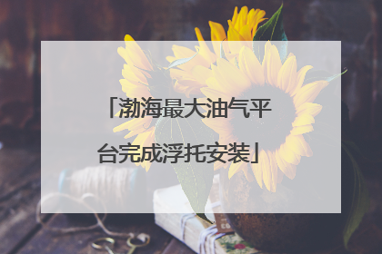 渤海最大油气平台完成浮托安装