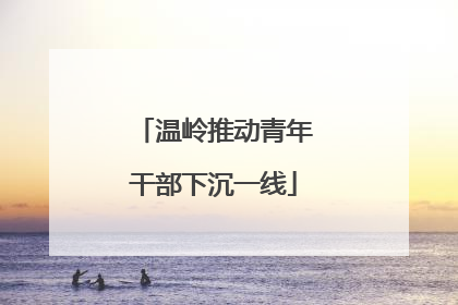 温岭推动青年干部下沉一线