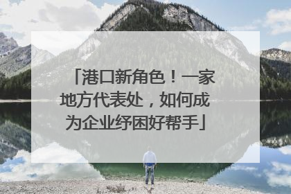 港口新角色！一家地方代表处，如何成为企业纾困好帮手