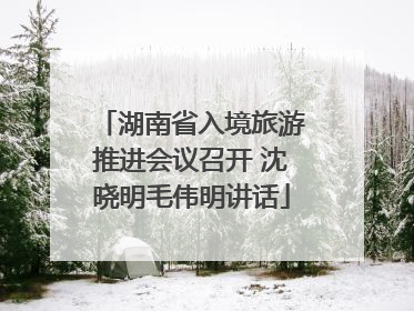 湖南省入境旅游推进会议召开 沈晓明毛伟明讲话