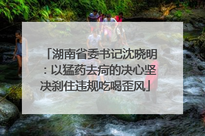 湖南省委书记沈晓明：以猛药去疴的决心坚决刹住违规吃喝歪风