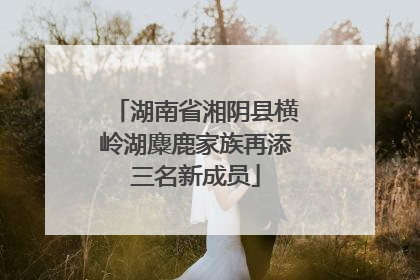 湖南省湘阴县横岭湖麋鹿家族再添三名新成员
