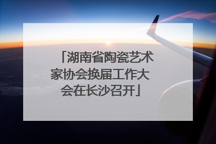 湖南省陶瓷艺术家协会换届工作大会在长沙召开
