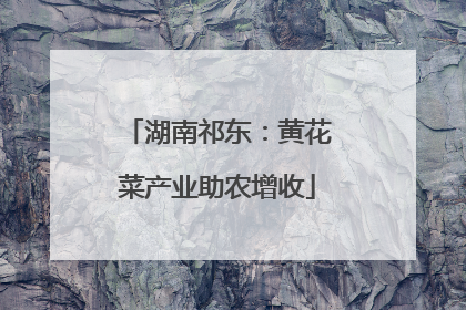 湖南祁东：黄花菜产业助农增收