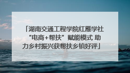 湖南交通工程学院红雁学社“电商+帮扶”赋能模式 助力乡村振兴获帮扶乡镇好评