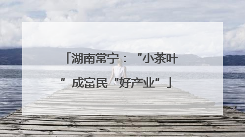 湖南常宁：“小茶叶”成富民“好产业”