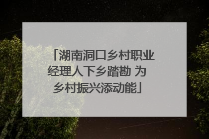 湖南洞口乡村职业经理人下乡踏勘 为乡村振兴添动能
