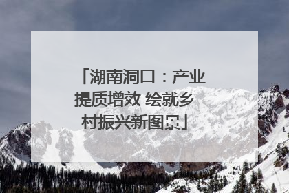 湖南洞口：产业提质增效 绘就乡村振兴新图景