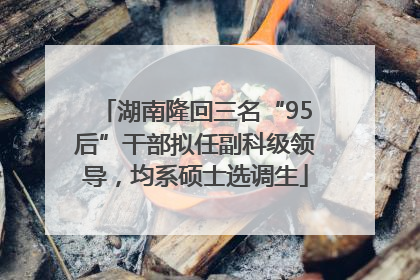 湖南隆回三名“95后”干部拟任副科级领导，均系硕士选调生