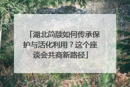 湖北简牍如何传承保护与活化利用？这个座谈会共商新路径