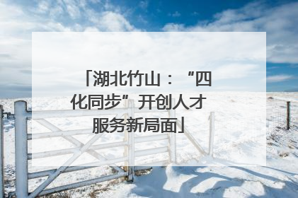 湖北竹山：“四化同步”开创人才服务新局面