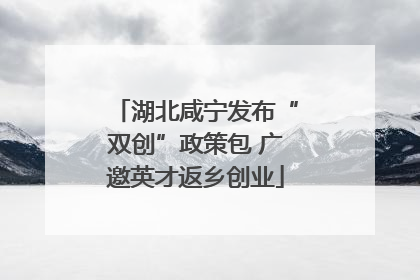 湖北咸宁发布“双创”政策包 广邀英才返乡创业