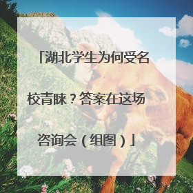 湖北学生为何受名校青睐？答案在这场咨询会（组图）