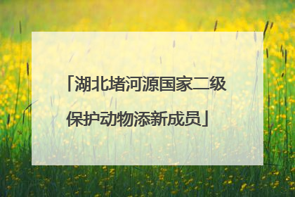湖北堵河源国家二级保护动物添新成员