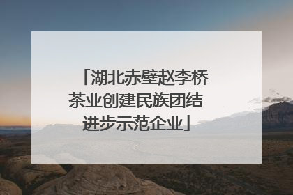 湖北赤壁赵李桥茶业创建民族团结进步示范企业