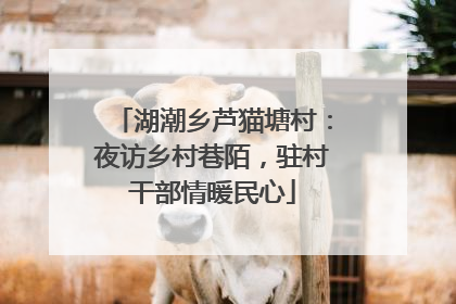 湖潮乡芦猫塘村：夜访乡村巷陌，驻村干部情暖民心