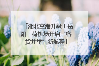 湘北空港升级！岳阳三荷机场开启“客货并举”新航程