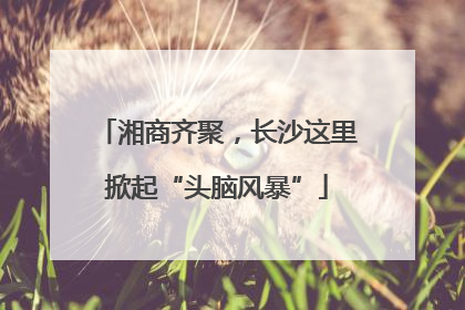 湘商齐聚，长沙这里掀起“头脑风暴”