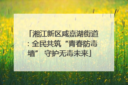 湘江新区咸嘉湖街道：全民共筑“青春防毒墙” 守护无毒未来