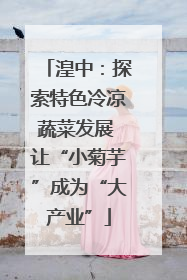 湟中：探索特色冷凉蔬菜发展 让“小菊芋”成为“大产业”