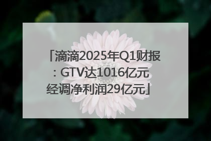 滴滴2025年Q1财报：GTV达1016亿元 经调净利润29亿元
