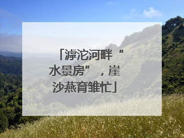 滹沱河畔“水景房”，崖沙燕育雏忙