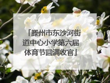 滕州市东沙河街道中心小学第六届体育节圆满收官