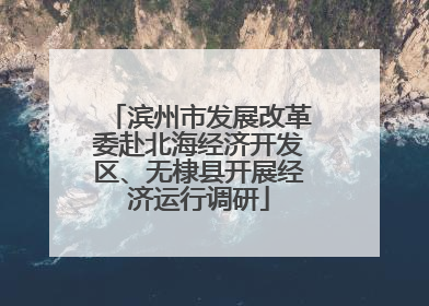 滨州市发展改革委赴北海经济开发区、无棣县开展经济运行调研