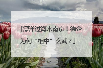 漂洋过海来南京！德企为何“相中”玄武？