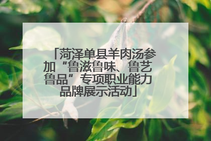菏泽单县羊肉汤参加“鲁滋鲁味、鲁艺鲁品”专项职业能力品牌展示活动
