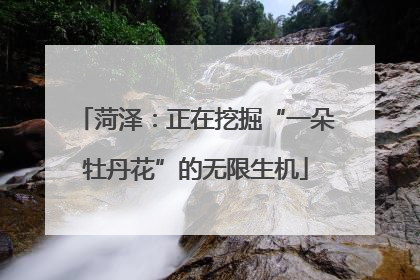 菏泽：正在挖掘“一朵牡丹花”的无限生机