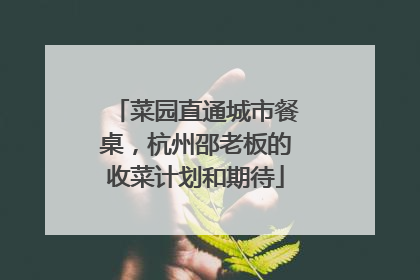 菜园直通城市餐桌，杭州邵老板的收菜计划和期待
