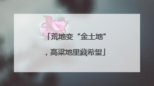 荒地变“金土地”，高粱地里藏希望