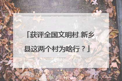 获评全国文明村 新乡县这两个村为啥行？