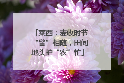 莱西：麦收时节“警”相随，田间地头护“农”忙
