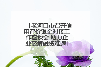 老河口市召开信用评价银企对接工作座谈会 助力企业破解融资难题