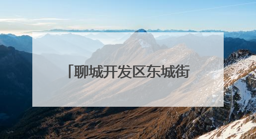 聊城开发区东城街道：“三链融合”激活基层治理新动能