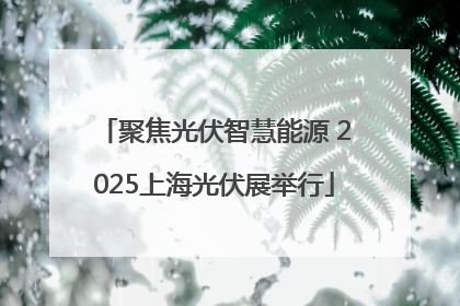 聚焦光伏智慧能源 2025上海光伏展举行