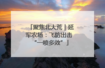 聚焦北大荒｜延军农场：飞防出击 “一喷多效”