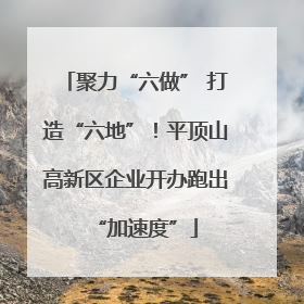 聚力“六做” 打造“六地”！平顶山高新区企业开办跑出“加速度”