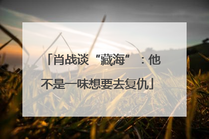 肖战谈“藏海”：他不是一味想要去复仇