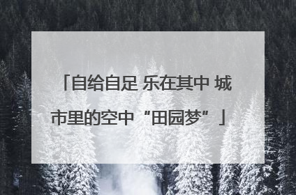 自给自足 乐在其中 城市里的空中“田园梦”