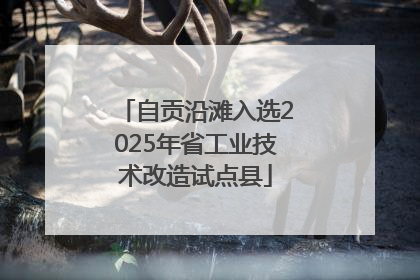 自贡沿滩入选2025年省工业技术改造试点县