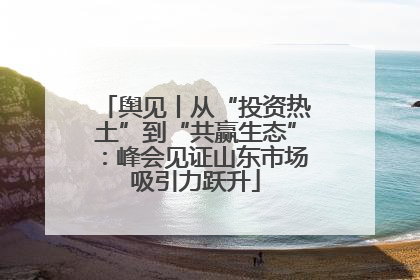 舆见丨从“投资热土”到“共赢生态”：峰会见证山东市场吸引力跃升