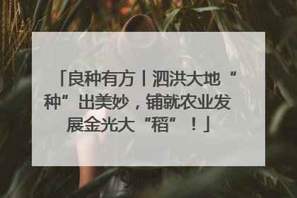 良种有方丨泗洪大地“种”出美妙，铺就农业发展金光大“稻”！