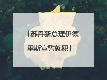 苏丹新总理伊德里斯宣誓就职