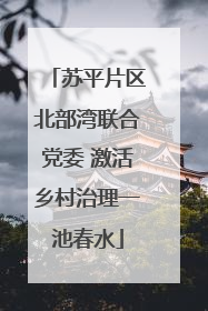 苏平片区北部湾联合党委 激活乡村治理一池春水