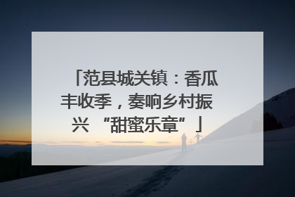 范县城关镇：香瓜丰收季，奏响乡村振兴 “甜蜜乐章”