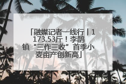 融媒记者一线行丨1173.53斤！李鹊镇“三作三收”首季小麦亩产创新高